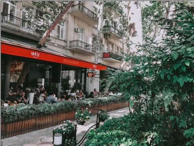 Paris Bistro bioklimatik pergola